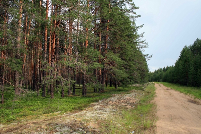 Typická krajina