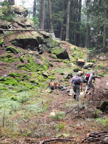 Vrchol 903m vysokého kopce nedaleko samoty Šár.