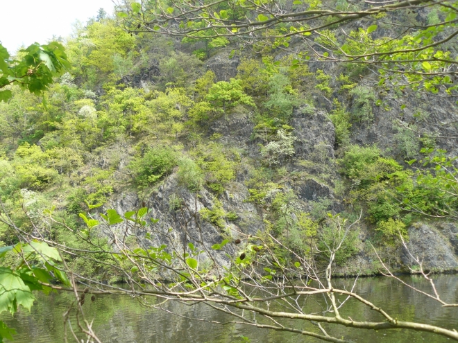 Skály naproti Ostrovu na pravém břehu Vltavy.