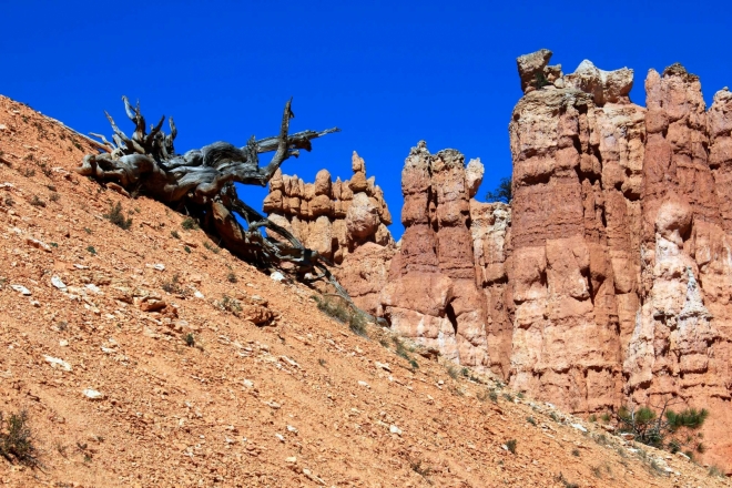 Utah, Bryce Canyon