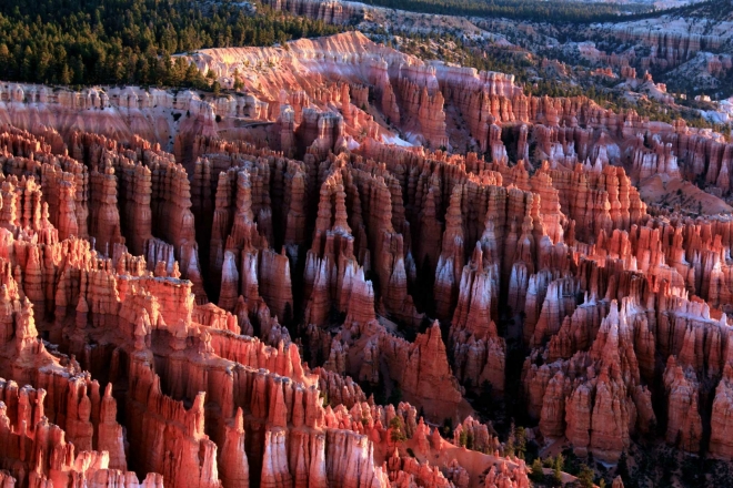 Utah, Bryce Canyon - Amphitheater za úsvitu, detail