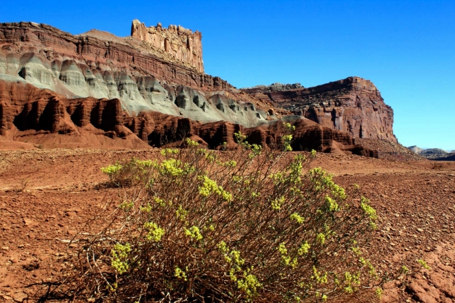 Utah - národní park Capitol Reef