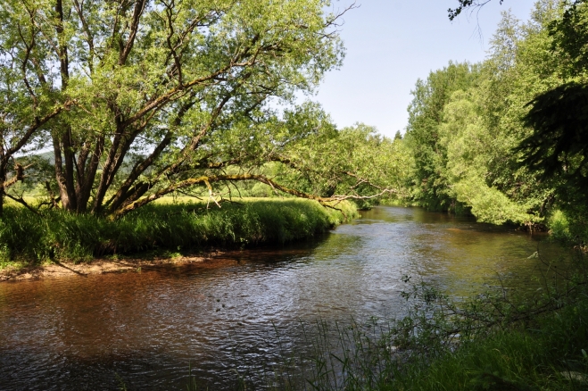 Teplá Vltava.