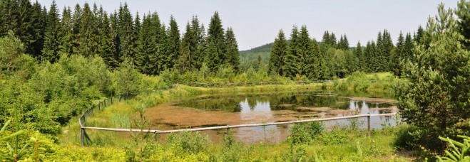 Jezírko.