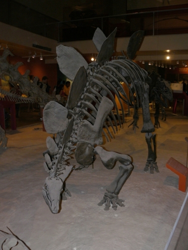 Kostra steganosaura