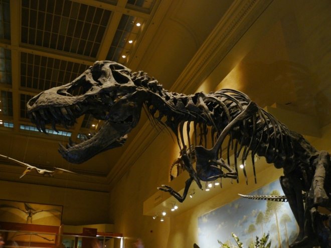 Tyranosaurus