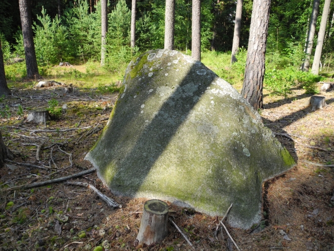 Jeden z mnoha kamenů u Medenice.