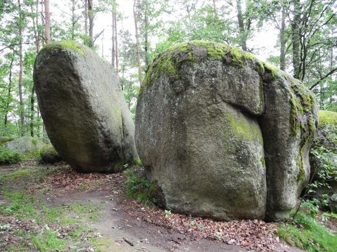 Naturpark Blockheide.