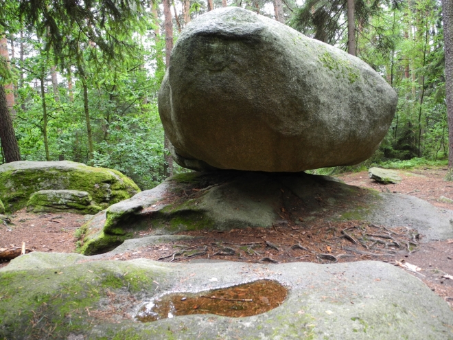 Naturpark Blockheide, viklan.