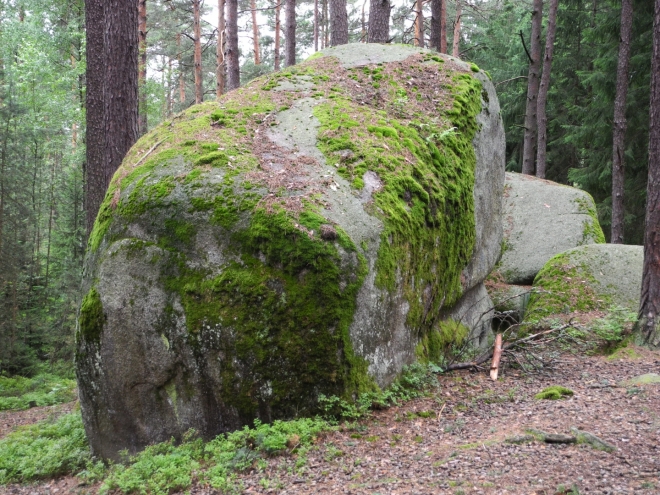 Naturpark Blockheide.