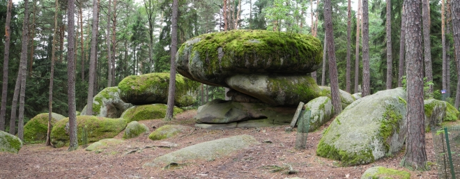 Naturpark Blockheide. Pilzstein.