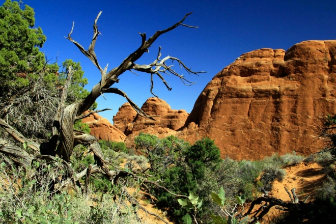 Utah, National Park Arches