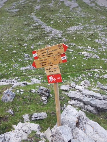 Jeden z mnoha rozcetsníků