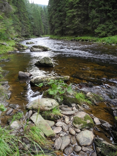 Křemelná.