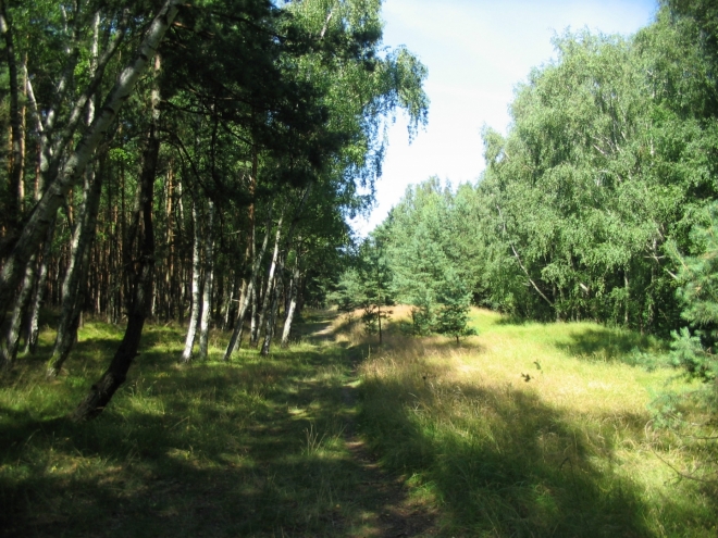 Je skoro jisté, že jsme mimo povolené trasy, nicméně žádnou tabuli zakazující vstup jsme nepotkali. Nějakou tu hodinu jdeme nepatrně vyšlapanou lesní pěšinou, ztratit se na útlém poloostrově naštěstí můžeme jen těžko.