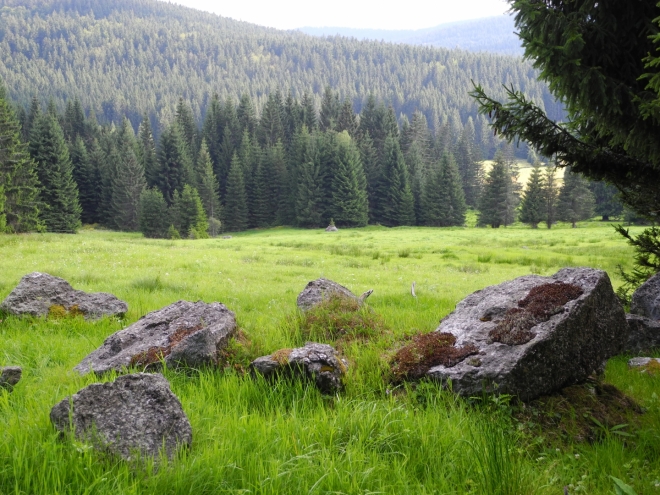 Nad Řasnicí.
