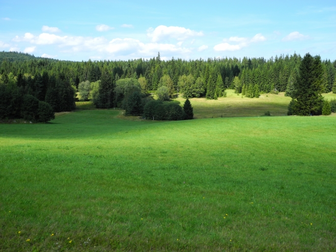 Údolí Studené Vltavy.