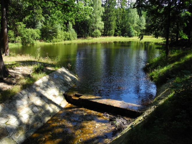 Po červené TZ stoupáme kolem dalšího lesního rybníku k Terezínu.