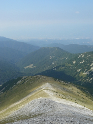 Na západ, kde je spousta zalesněných kopců, nepadá severní Pirin tak rychle jako na východ.