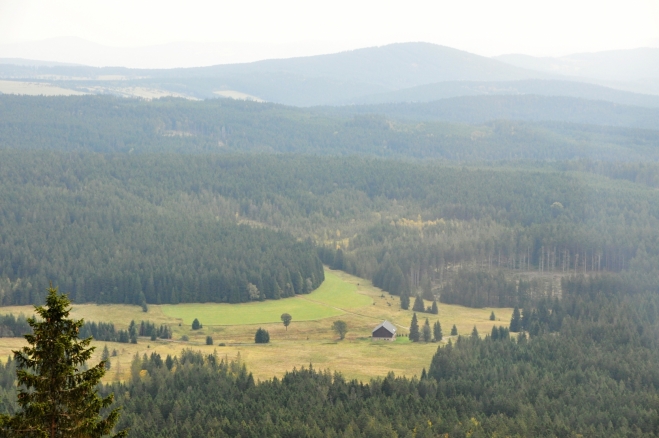 Nový Brunst.