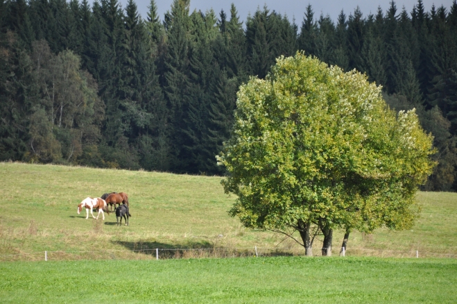 Před Muckovem.
