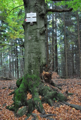 Směrovník nedaleko vrcholu.