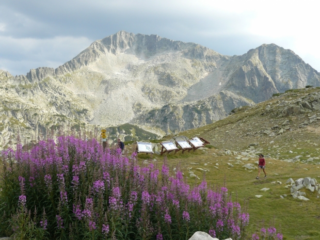Kamenica