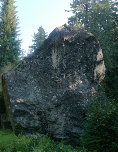 Balvan, který se asi skutálel z hor. Nebo ho sem dotáhl nějaký obr?