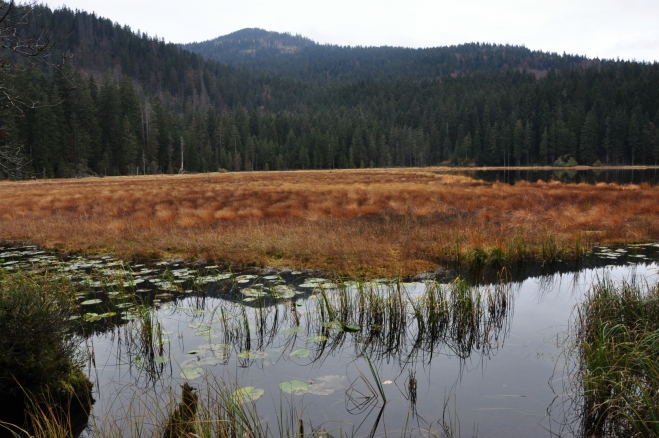 Vrchol Javoru přes jezero. Cesta k němu odsud není jednoduchá.