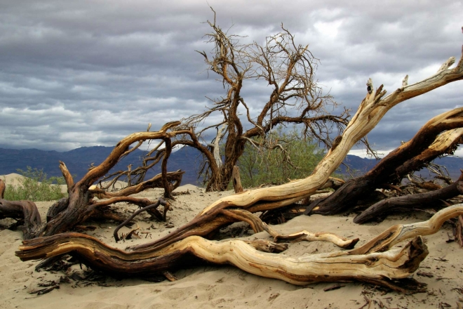 California, Death Valley, Mesquite Sand Dunes - krajina