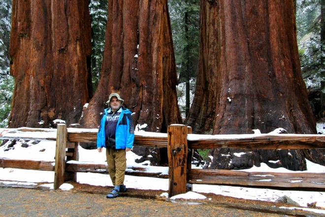 California, Sequoia National Park - trpaslíci mezi obry
