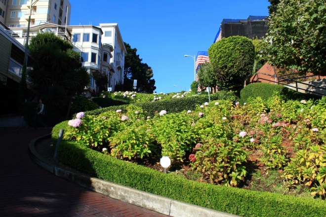 California, San Francisco - Lombard Street