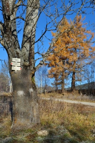 Rozcestník.