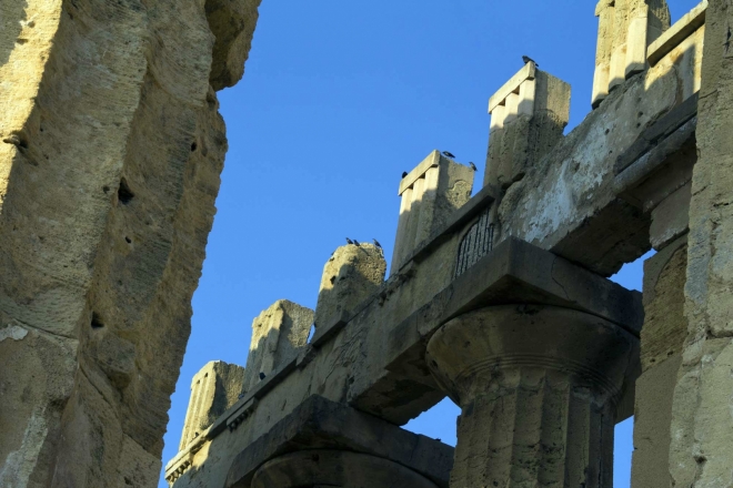 Tempio E - stávající obyvatelé jsou pouze ptáci