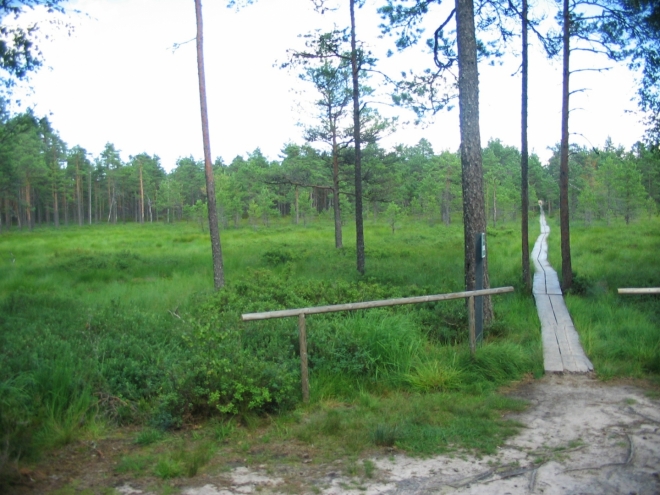 Obával jsem se, že toto známé rašeliniště bude plné turistů, ale v řídce osídleném Estonsku platí trochu jiná měřítka. Kromě školní výpravy, kterou jsme naštěstí potkali už tady na kraji, jsme skutečně mnoho lidí neviděli.