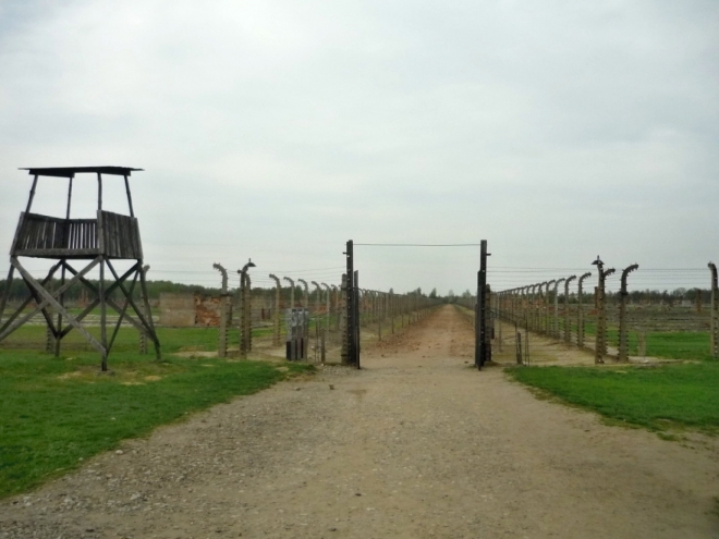 V nitru Birkenau