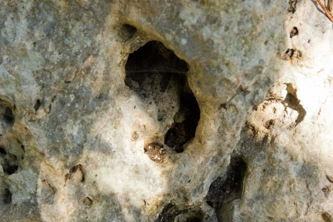 Syrakusy, Archeologický park - detail skály