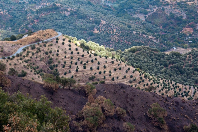 Národní park Aspromonte