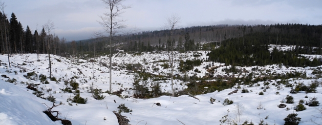 Panorama údolí Stockého potoka. 