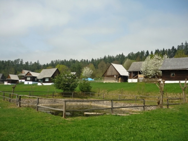 Náves