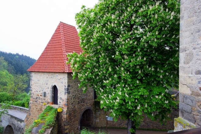 Zvíkov