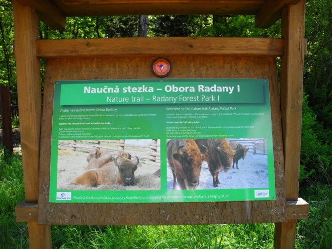 Obora Radany a zubr evropský. Několik cedulí nás seznamuje formou naučné stezky s jejich údělem, kdy byli zubři prakticky v přírodě vyhubeni.