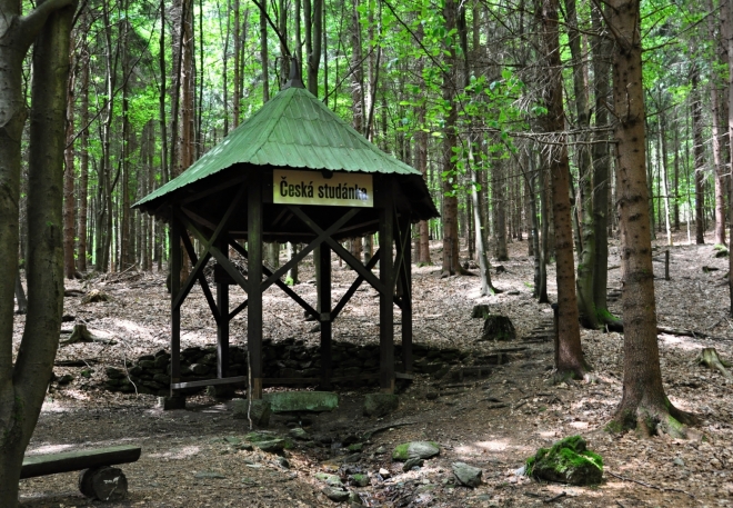 Česká studánka je příjemnou zastávkou. Výš už se smrčiny mění ve smíšený les s převahou buků. Cesta se tak stává barevnější a voňavější.