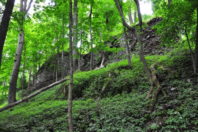 Gotický hrad Nový Herštejn stával na nápadném a dnes zalesněném kopci. Vlastní hrad byl postaven na jeho temeni a kolem bylo rozsáhlé podhradí v podobě nepravidelného trojúhelníka. Podhradí bylo chráněné vnitřní zdí a hlubokými příkopy s valy. Na jihovýchodě byla v prudkém svahu pod hradbou vstupní cesta. 