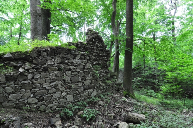Někdy na konci vlády Jiřího z Poděbrad převzal hrad Jan Herštejn z Velhartic s nejmenovaným bratrem. V roce 1473 se dostal do sporu s bavorským knížetem Albrechtem. V říjnu 1474 přitáhlo bavorské vojsko k Novému Herštejnu a podařilo se jim zajmout majitele, ale není známo zda hrad dobyli. Po třech měsících uzavřel Bohuslav ze Švamberka a Dobrohost z Ronšperka s bavorským knížetem dvouměsíční příměří, ve kterém měl být Jan Herštejnský na svobodě, ale po jeho uplynutí se měl dostavit na bavorský hrad Straubing. Ale Jan po propuštění začal opět plenit bavorské statky. Bavoři podnikli novou vojenskou výpravu a na začátku února 1475 hrad dobyli a Jana zajali. Bavoři nakonec na příkaz knížete Albrechta hrad vypálili. Po dlouhém vyjednávání byl v lednu 1476 Jan Herštejnský z vězení propuštěn a uchýlil se na nedaleký statek Lomec.Začátkem 16. století koupil herštejnské panství Půta Švihovský z Rýzmberka po jeho smrti († 1504) připadl Nový Herštejn Břetislavovi. Za jeho vlády došlo jen k nejnutnější opravě hradu,aby na něm mohl bydlet správce. Ale pro velké dluhy začal své panství rozprodávat. Nový Herštejn plus osm vesnic koupilo královské město Domažlice. pro účast na stavovském odboji proti Ferdinandu I. byly Domažlickým všechny statky zkonfiskovány. V roce 1549 bylo novoherštejnské panství prodáno karlštejnskému purkrabímu Šebastiánovi Markvartovi z Hrádku. Jeho majitelé však nesídlili na zpustlém hradě ale na tvrzi v Unějovicích. V roce 1626 byly Unějovice připojeny k bystřickému panství. (převzato z Wikipedie)