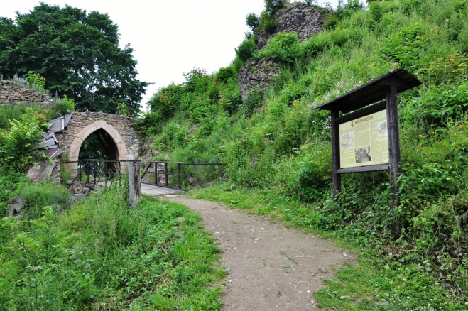 Hrad byl založen ve 2. polovině 13. století vlivným panským rozrodem Drslaviců, kteří se občas označují i jako Děpolticové. Tento významný rozrod již delší čas ovládal zdejší kraj a vzešly z něj tak mocné rody, jako byli Černínové z Chudenic či páni z Rýzmberka (později používající jméno Švihovský z Rýzmberka). Hrad sloužil jako pohraniční pevnost a měl za úkol střežit důležitou zemskou stezku vedoucí přes sousední Všerubský průsmyk do bavorského Řezna.Jméno Rýzmberk bylo (dle tehdejší módy) německé a znamenalo Obří či Obrovu horu. Název odpovídal skutečnosti, neboť hrad se tyčil nad městečkem Kdyní na rozlehlém a vysokém kopci. (převzato z Wikipedie)