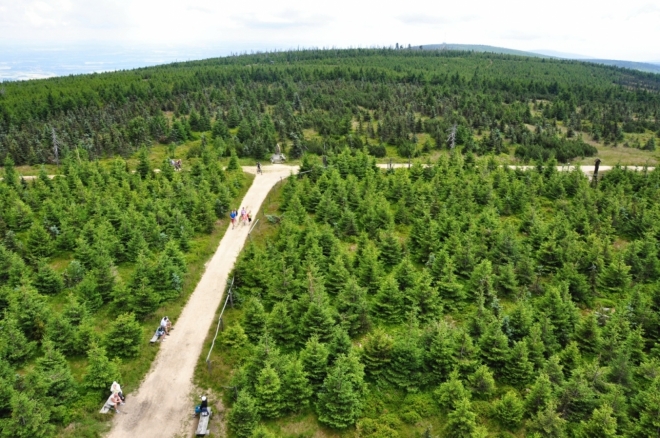 2,5 km dlouhá cesta na Stóg Izerski vede přes mělké sedlo Lacznik (1 066 m n. m.).