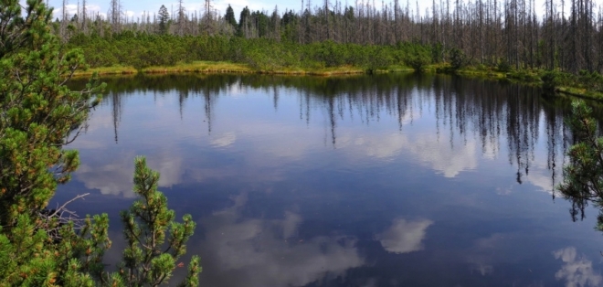 Latchensee je největším jezírkem a vede k němu krátká odbočka po povalovém chodníku.