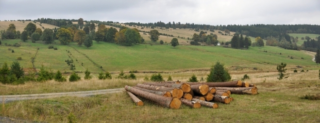 Kepelské Zhůří (Haidl am Ahornberg) bylo jednou ze svobodných králováckých rycht a je zmiňováno poprvé v roce1613. V roce 1761 zde byl postaven kostel Nejsvětější Trojice, ale ten roku1809 vyhořel. Nový byl již kamenný. V roce 1920 měla obec 79 obydlených domů, 598 obyvatel, z toho 6 Čechů. V roce 1929 byla v obci pošta, četnická stanice, čtyři mlýny, dvě pily, výrobna kartáčů, dřevovýroba. Dnes tady najdete jen obnovenou kapličkuz roku 1999. Z iniciativy bývalých Zhůřských občanů a za přispění občanů Hartmanic byla v místě původního kostela vedle úmrlčích prken.Nedaleko je pomník věnovaný Americkým vojákům, kteří zde na konci války padli za svobodu Československa.