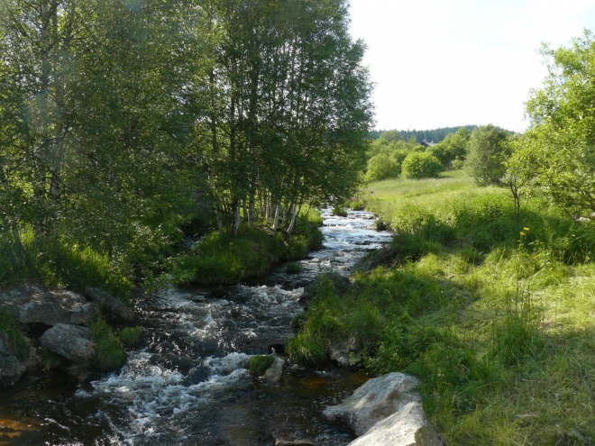Teplá Vltava tekoucí pastvinou
